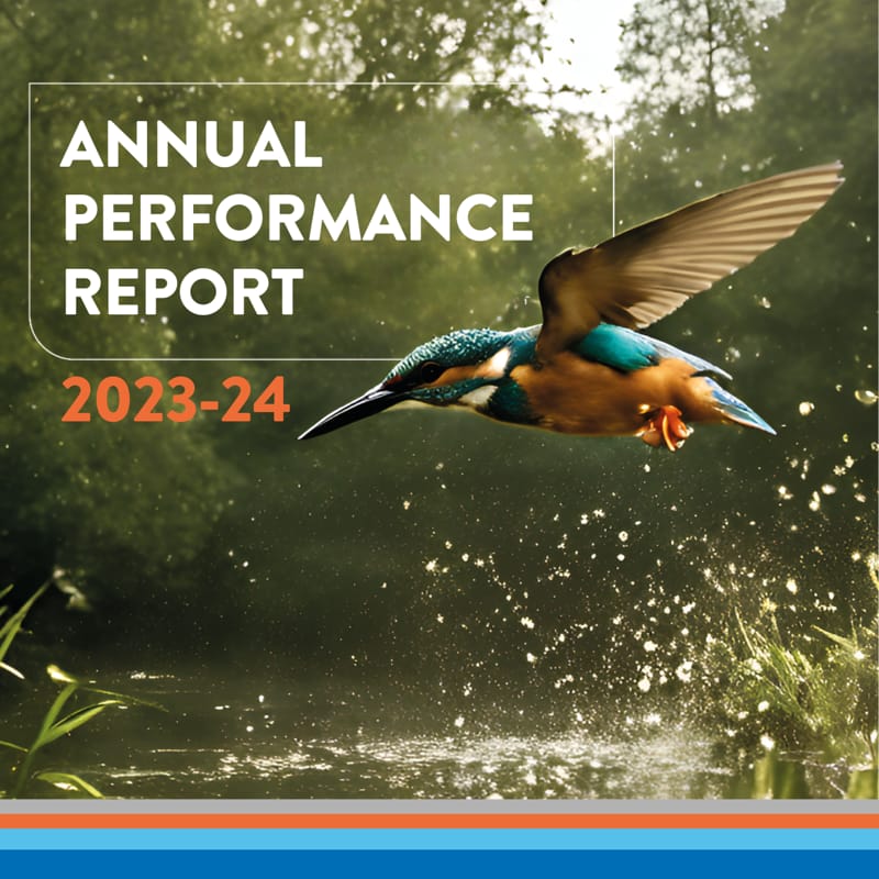 Annual Performance Report 2024