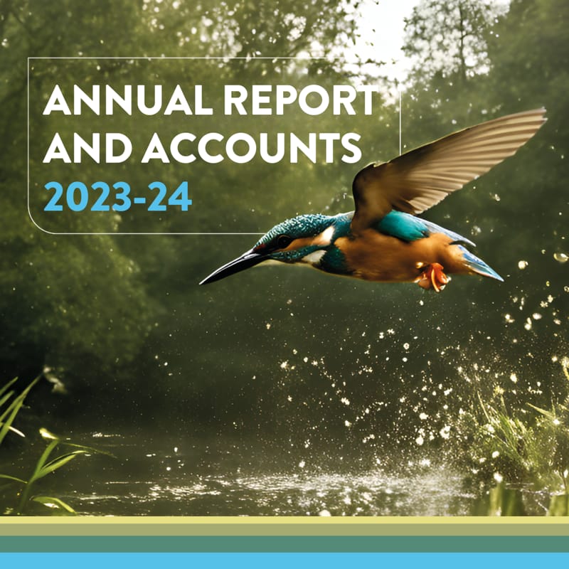 annual report and accounts